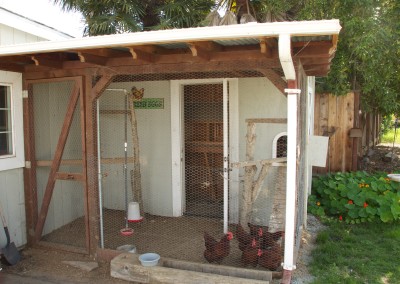 Chicken Coop