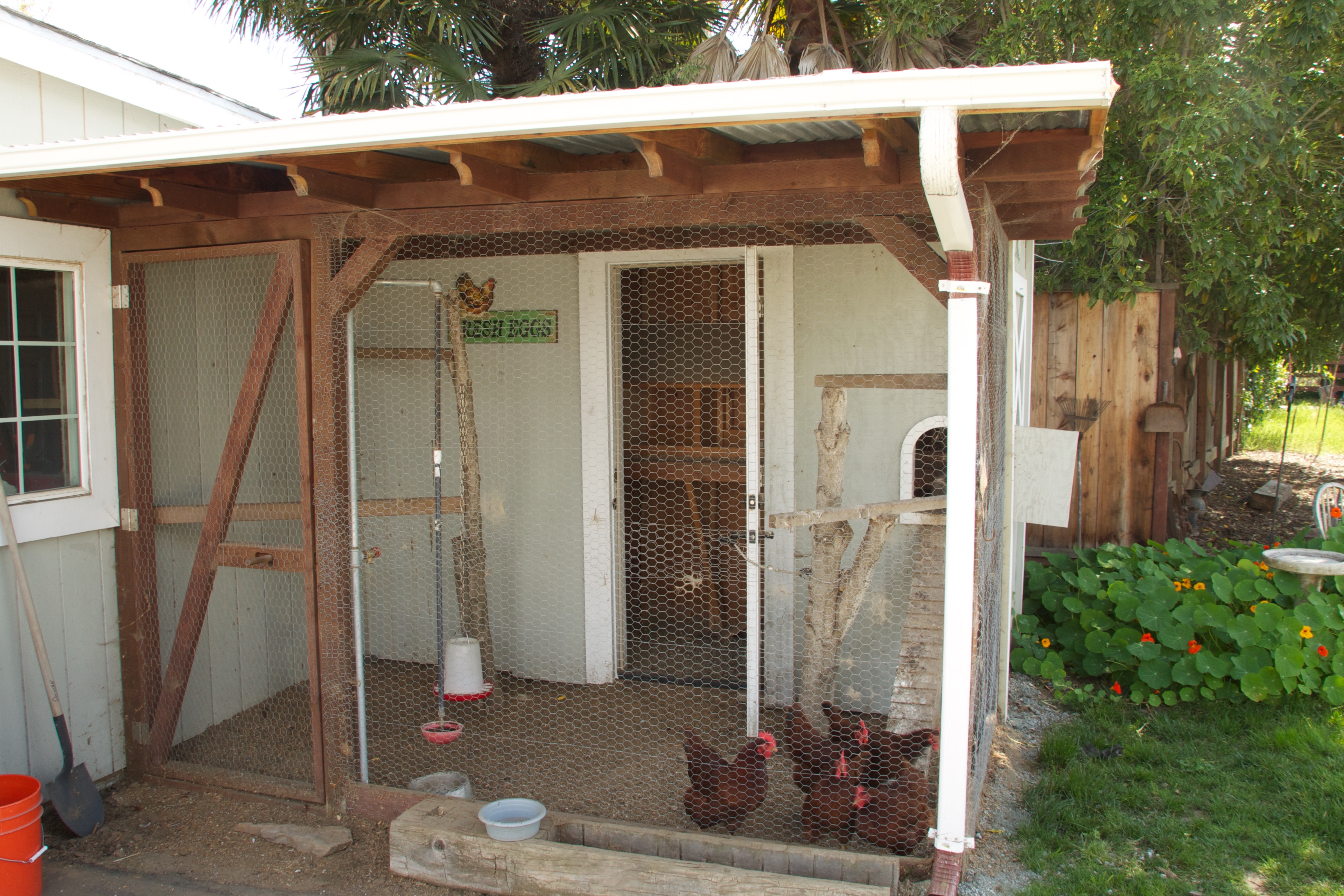 Chicken Coop